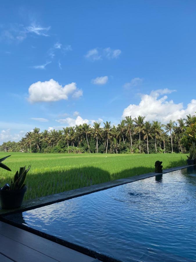 Casa Avana Ubud Exteriör bild